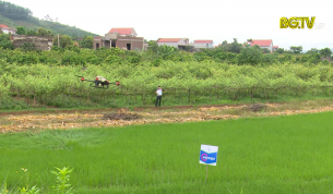 Đẩy mạnh chuyển đổi số trong lĩnh vực nông nghiệp