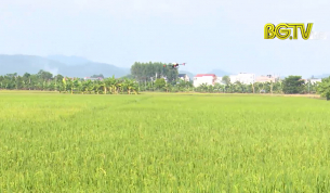 Đẩy mạnh công nghệ số hoá trong sản xuất nông nghiệp