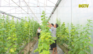 Đẩy mạnh liên kết chuỗi để nâng cao thu nhập cho người nông dân
