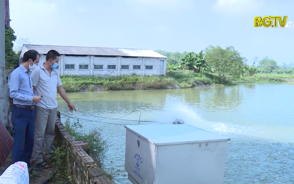 Đẩy mạnh ứng dụng công nghệ vào sản xuất thuỷ sản