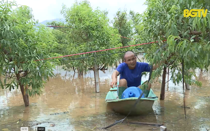 Để nông dân vùng lũ sớm khôi phục sản xuất 