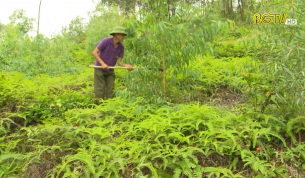 Đề phòng cháy rừng do nắng nóng