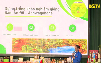 DN Bắc Giang hội nhập và phát triển: Thúc đẩy khởi nghiệp đổi mới sáng tạo cho doanh nghiệp trẻ
