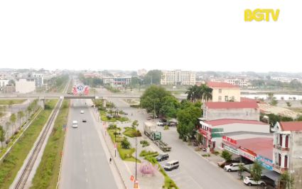 Đô thị và phát triển: Phát triển cây xanh đô thị