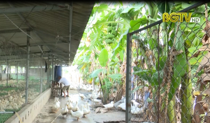 Đồng hành cùng người dân giảm nghèo