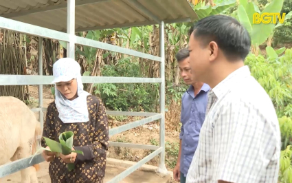 Đưa mô hình sinh kế hiệu quả đến với người nghèo 