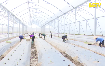 Gần 2.200 tỷ đồng phát triển sản xuất nông nghiệp, nông thôn