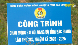 Gắn biển công trình chào mừng Đại hội Đảng bộ tỉnh