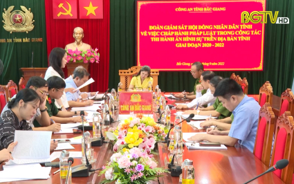 Giám sát việc chấp hành pháp luật trong công tác thi hành án hình sự giai đoạn 2020-2022