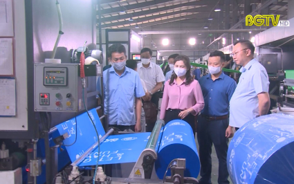 Giám sát việc thu hút đầu tư vào các khu, cụm công nghiệp