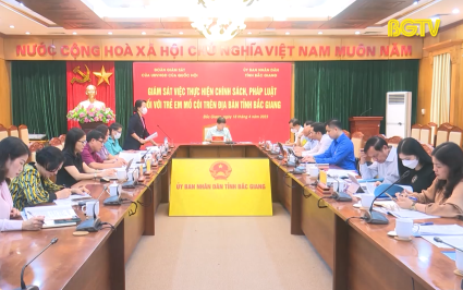 Giám sát việc thực hiện chính sách, pháp luật đối với trẻ mồ côi 