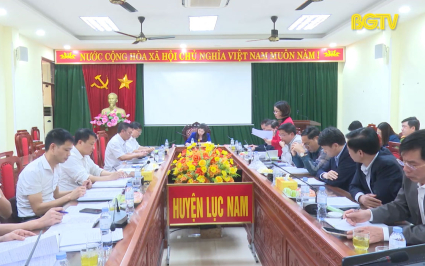 Giám sát xử lý vi phạm hành chính tại huyện Lục Nam
