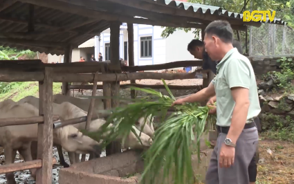 Giúp đồng bào dân tộc thiểu số vươn lên thoát nghèo 