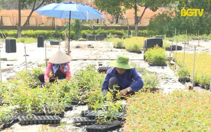 Người có uy tín đi đầu trong phát triển kinh tế