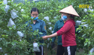 Gương phụ nữ làm kinh tế giỏi