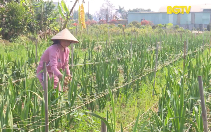 Gương phụ nữ vượt khó, làm kinh tế giỏi 