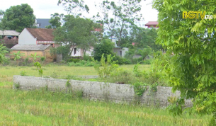 Hiệp Hoà tăng cường xử lý vi phạm đất đai theo Chỉ thị 19