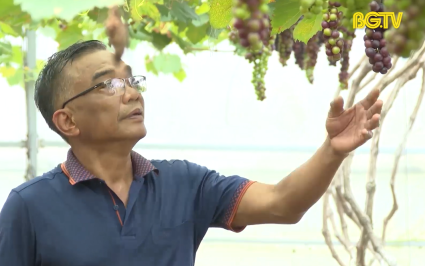 Hiệp Hòa ưu tiên xây dựng OCOP gắn với tiêu chí nông thôn mới 