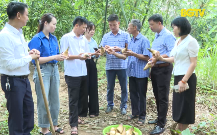 Hiệp Hòa xây dựng sản phẩm OCOP đặc trưng