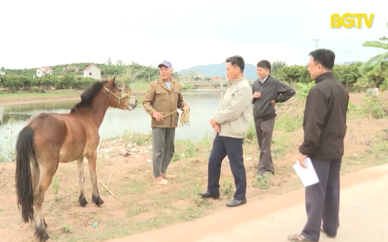 Hiệu quả Chương trình mục tiêu quốc gia phát triển kinh tế xã hội vùng đồng bào dân tộc thiểu số ở Lục Ngạn