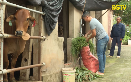 Hiệu quả từ hoạt động hỗ trợ phát triển sản xuất,đa dạng hoá sinh kế, phát triển mô hình giảm nghèo trên địa bàn huyện Lạng Giang