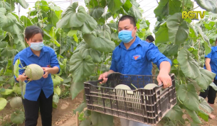 Hiệu quả từ việc hỗ trợ tiêu thụ nông sản cho bà con nông dân