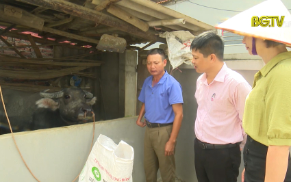 Hỗ trợ sinh kế cho người nghèo