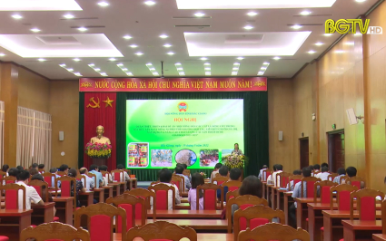 Hỗ trợ xây dựng sản phẩm OCOP