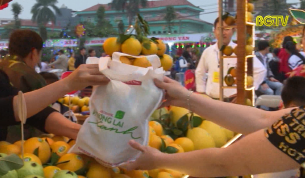 Hội chợ cam bưởi hạn chế sử dụng túi ni long