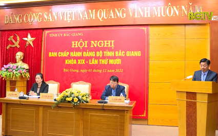 Hội nghị lần thứ mười Ban Chấp hành Đảng bộ tỉnh khóa XIX