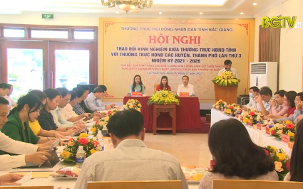 Nâng cao chất lượng giám sát của HĐND