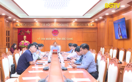 Triển khai chương trình hành động về ngoại giao kinh tế