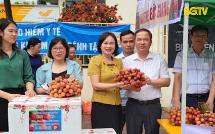 Hội nông dân Lào Cai hỗ trợ tiêu thụ vải thiều Bắc Giang