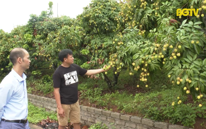 Hội nông dân Tân Yên xây dựng mới 5 sản phẩm OCOP