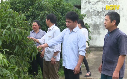 Hơn 7.200 Đảng viên là người dân tộc thiểu số  