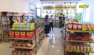 Kết nối cung cầu, tiêu thụ sản phẩm cho các hợp tác xã