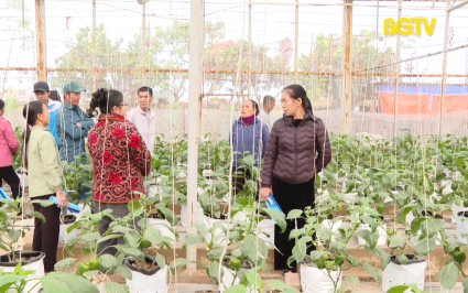 KH&CN: Nâng cao hoạt động ứng dụng khoa học công nghệ