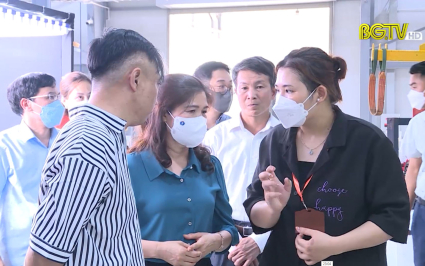 Khảo sát các dự án đầu tư tại KCN Vân Trung