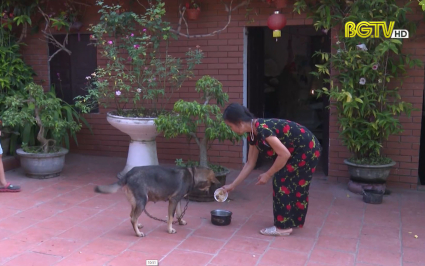 Không chủ quan với bệnh dại
