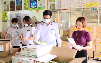Kiểm tra hoạt động kinh doanh phân bón thuốc bảo vệ thực vật 