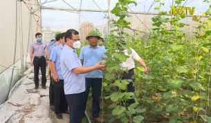 Kiểm tra hoạt động kinh tế tập thể