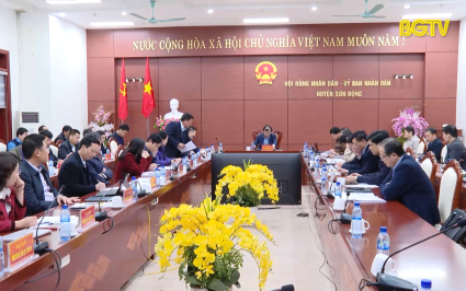 Kiểm tra triển khai kết luận số 123 tại Sơn Động 