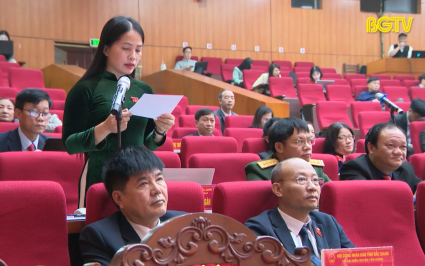 Kỳ họp thứ 22: HĐND tỉnh chất vấn và trả lời chất vấn