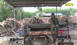 Làm giàu nhờ phát triển kinh tế lâm nghiệp