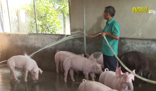 Lan toả phong trào tuổi cao gương sáng