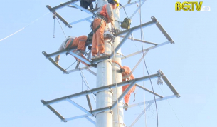 Lạng Giang:  Bảo vệ an toàn thi công tuyến đường dây 35KV qua xã Tân Hưng