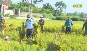 Lạng Giang: Hội CCB tổ chức gặt lúa cho gia đình bị cách ly