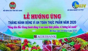 Lễ hưởng ứng tháng hành động vì an toàn thực phẩm năm 2020