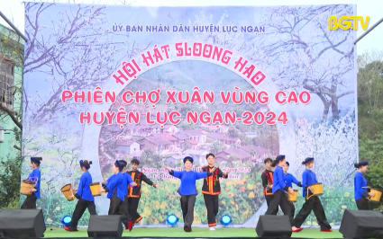 Liên hoan dân ca, dân vũ các dân tộc thiểu số tỉnh lần thứ nhất 