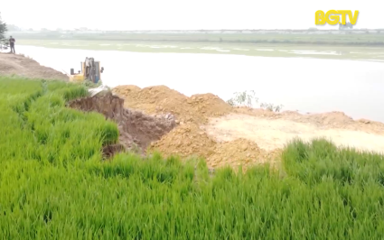 Lục Nam: Khai thác cát sỏi ảnh hưởng tới sản xuất nông nghiệp